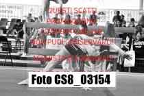 CS8_03154-