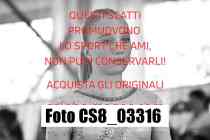 CS8_03316-