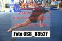 CS8_03527-