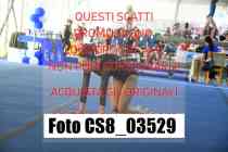 CS8_03529-