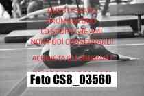 CS8_03560-