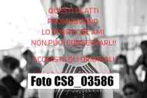 CS8_03586-