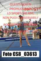 CS8_03613-