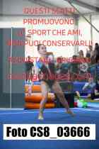 CS8_03666-