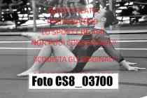 CS8_03700-