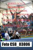 CS8_03806-