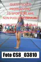 CS8_03810-