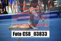 CS8_03833-