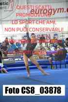 CS8_03878-