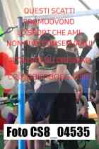 CS8_04535-
