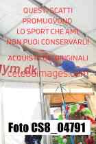 CS8_04791-