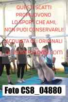 CS8_04880-