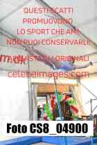 CS8_04900-