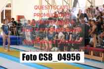 CS8_04956-