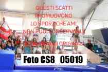 CS8_05019-