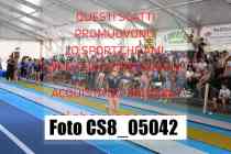 CS8_05042-
