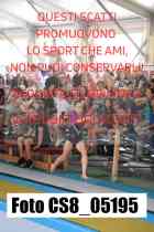 CS8_05195-