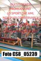CS8_05239-
