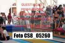 CS8_05260-