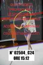 02504_C24