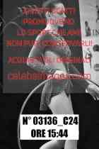 03136_C24