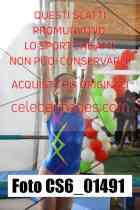 CS6_01491-