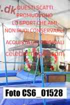 CS6_01528-