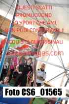 CS6_01565-