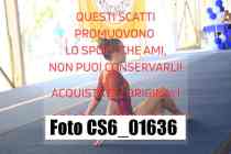 CS6_01636-