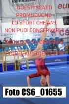 CS6_01655-