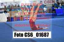 CS6_01687-