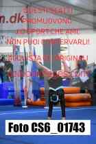 CS6_01743-