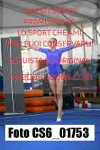 CS6_01753-
