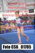 CS6_01785-