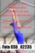 CS6_02235-
