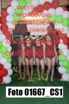 01667_CS1