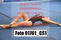 01761_CS1