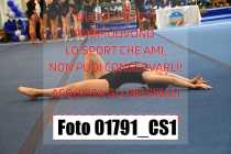 01791_CS1