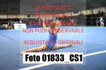 01833_CS1