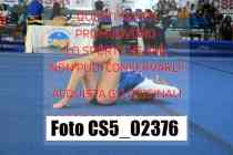 CS5_02376-