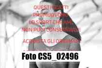 CS5_02496-