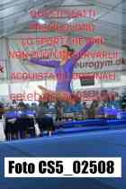 CS5_02508-