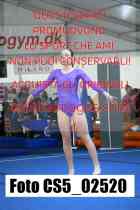 CS5_02520-