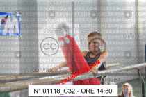01118_C32