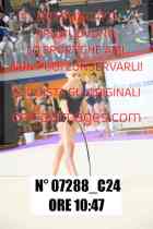 07288_C24