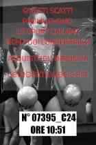 07395_C24