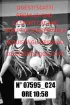 07595_C24