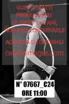 07667_C24