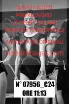 07956_C24