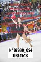 07988_C24